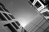 Proposed Amendment to Directors' Duties
