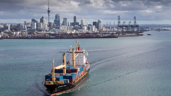Former Port of Auckland CEO Faces Trial Over Workplace Fatality