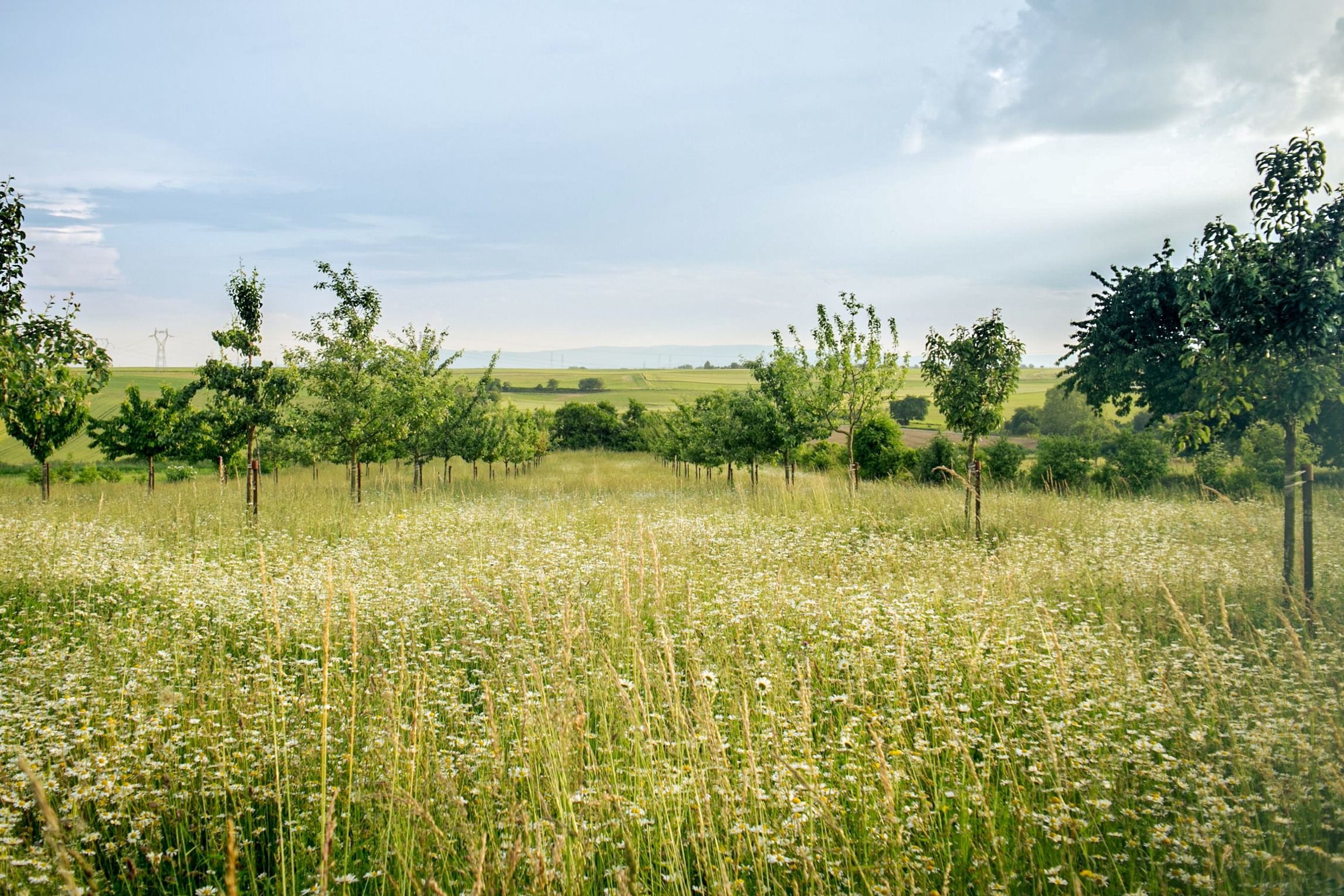 Natural Environment Bill